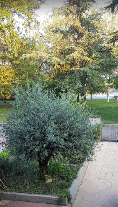 Villa Elsa, Cesena Zona Ippodromo Extérieur photo