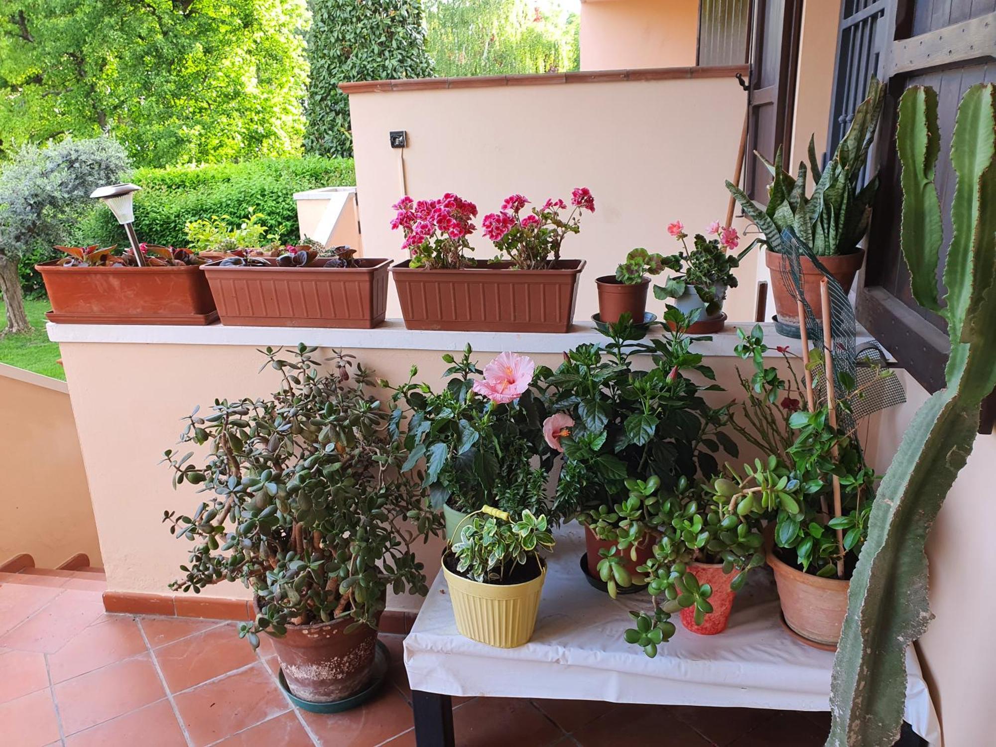 Villa Elsa, Cesena Zona Ippodromo Extérieur photo